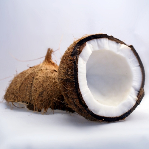 프랑스 코코넛