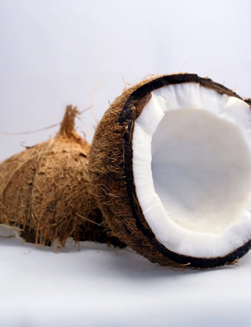 프랑스 코코넛
